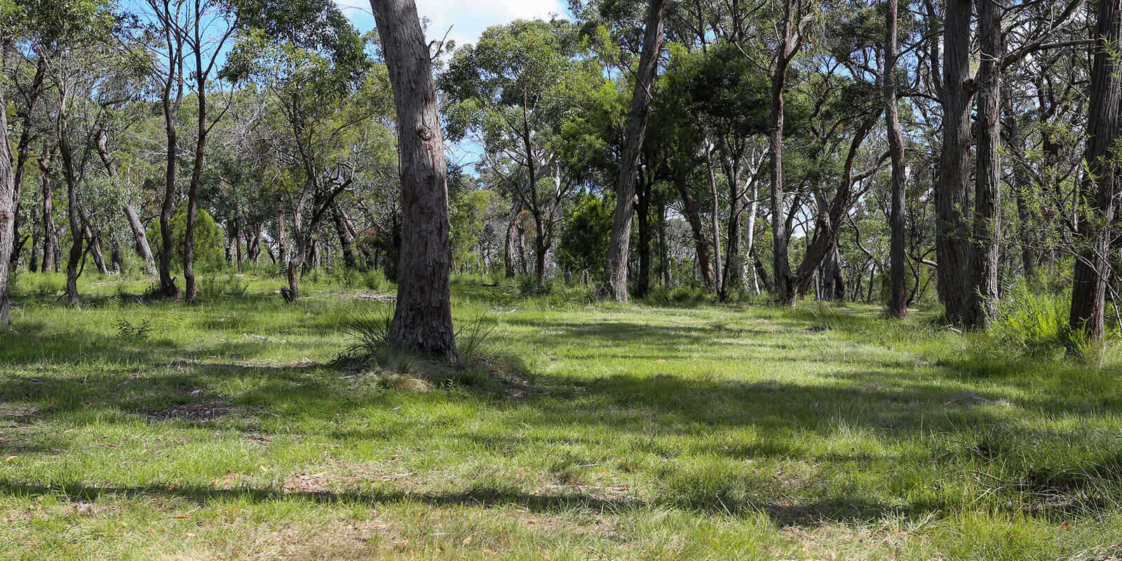 19 Wilkinson Street Berrima 19 Wilkinson Street Berrima