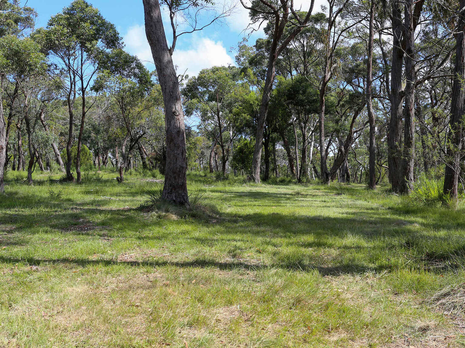 19 Wilkinson Street Berrima 19 Wilkinson Street Berrima