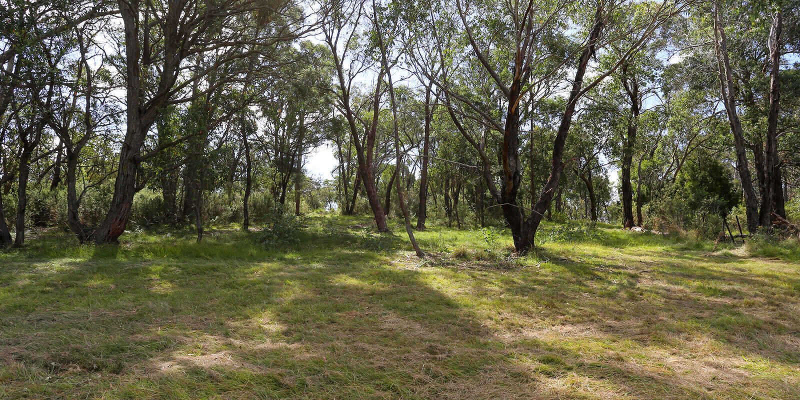 19 Wilkinson Street Berrima 19 Wilkinson Street Berrima