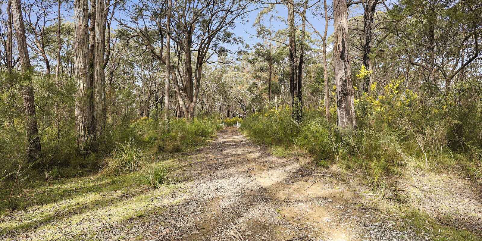 55 Spring Hills Road Meryla 55 Spring Hills Road Meryla