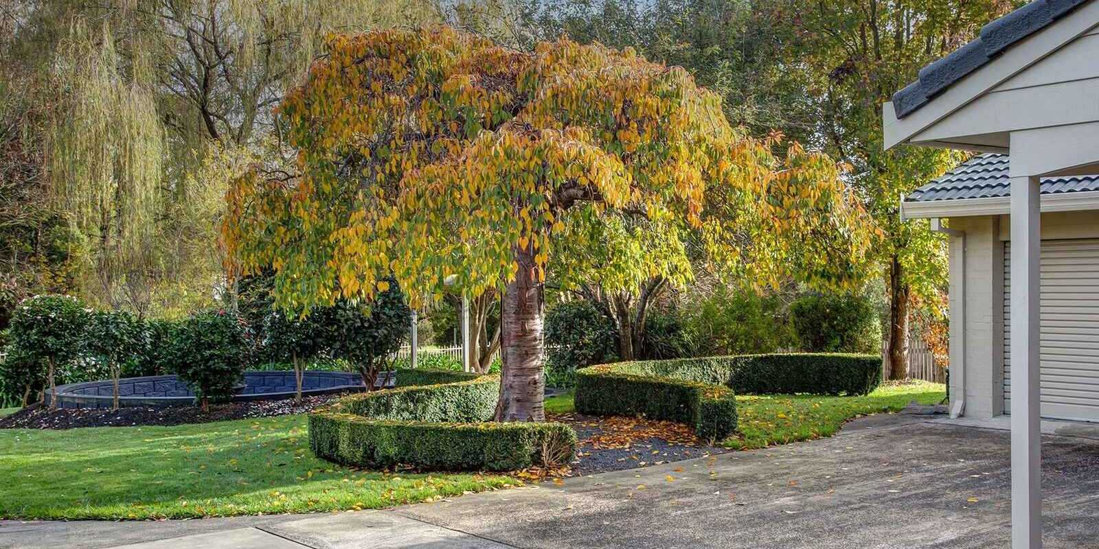 4 Rytina Place Moss Vale