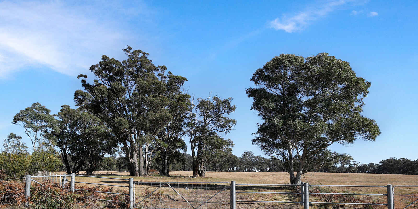 633A Hanging Rock Road Paddys River