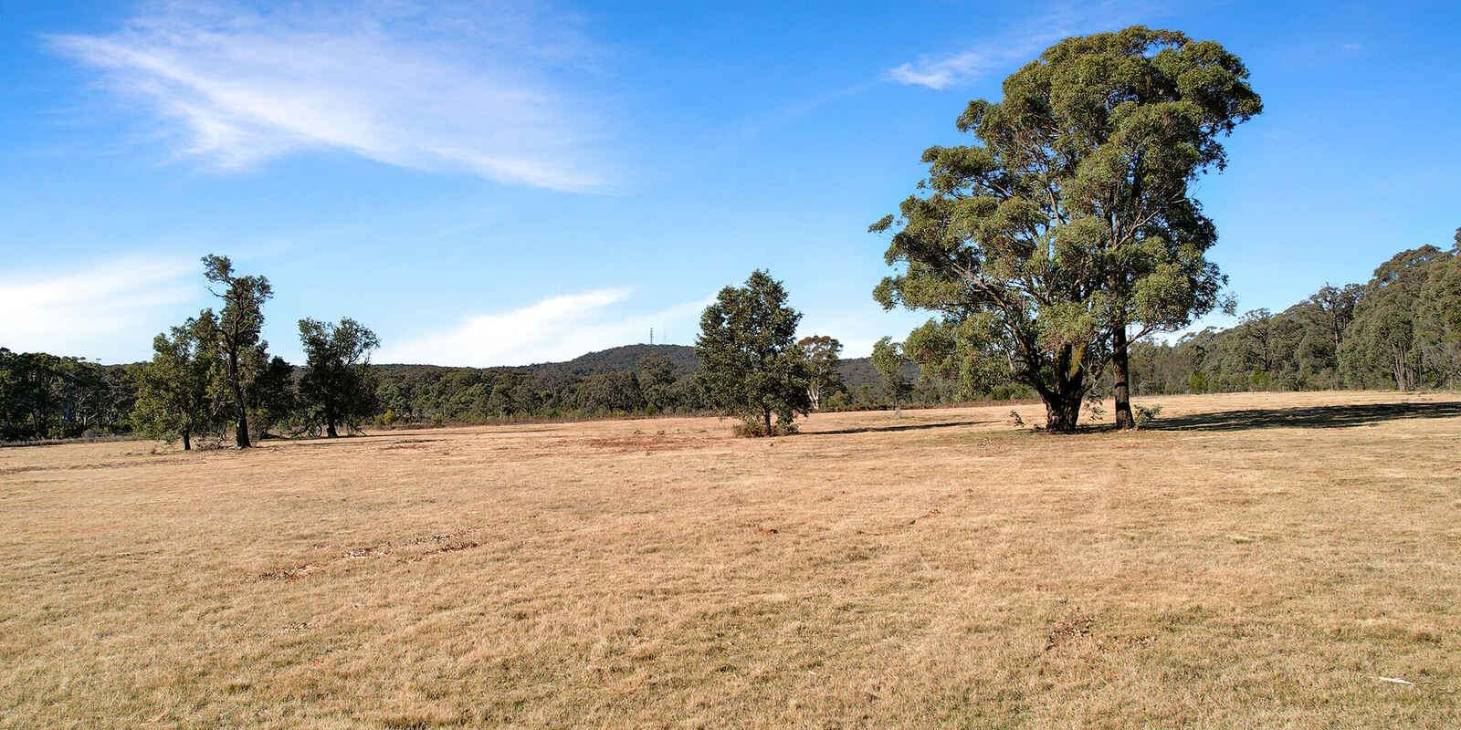 633A Hanging Rock Road Paddys River