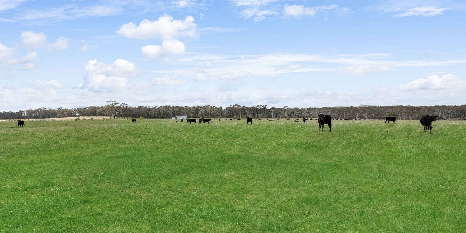 60 Wanganderry Road High Range 60 Wanganderry Road High Range