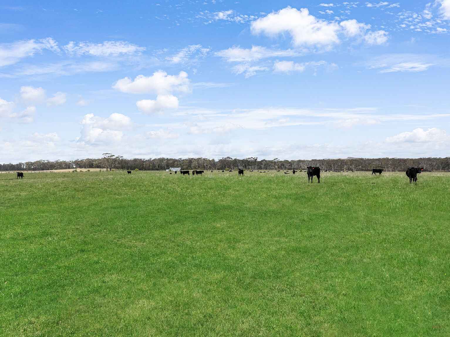 60 Wanganderry Road High Range