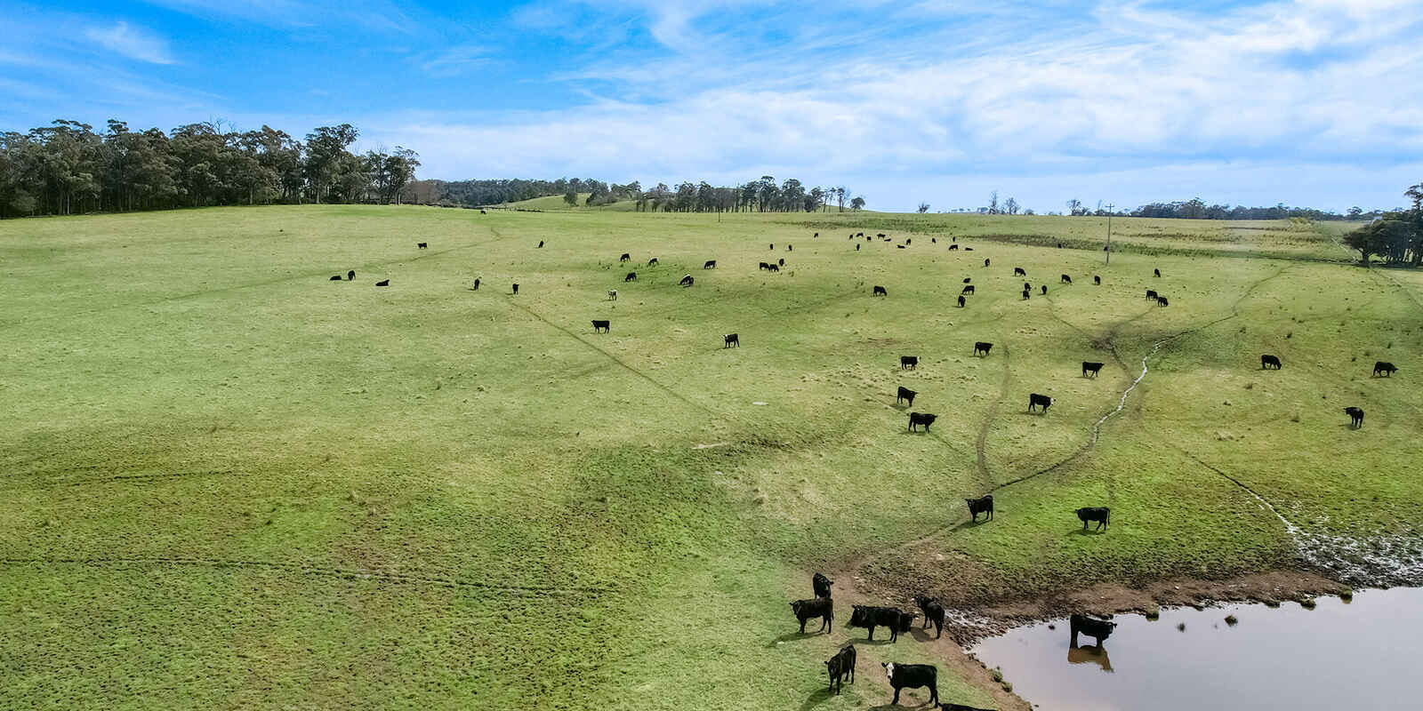 60 Wanganderry Road High Range 60 Wanganderry Road High Range