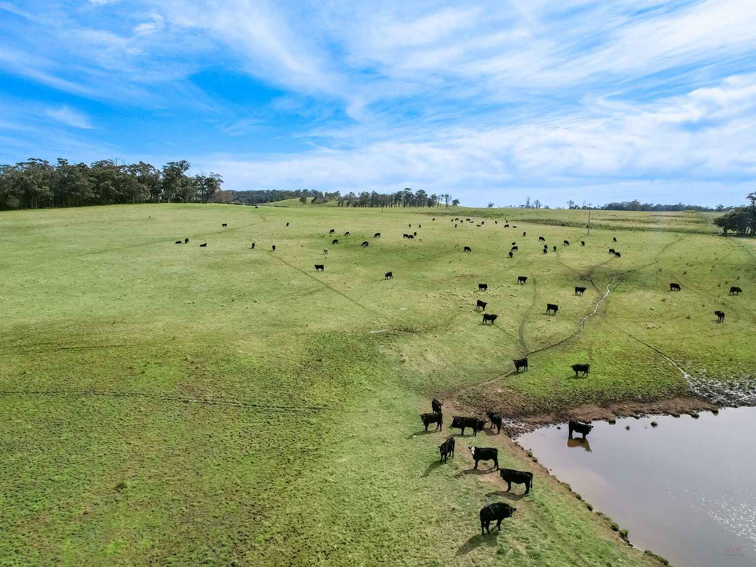 60 Wanganderry Road High Range