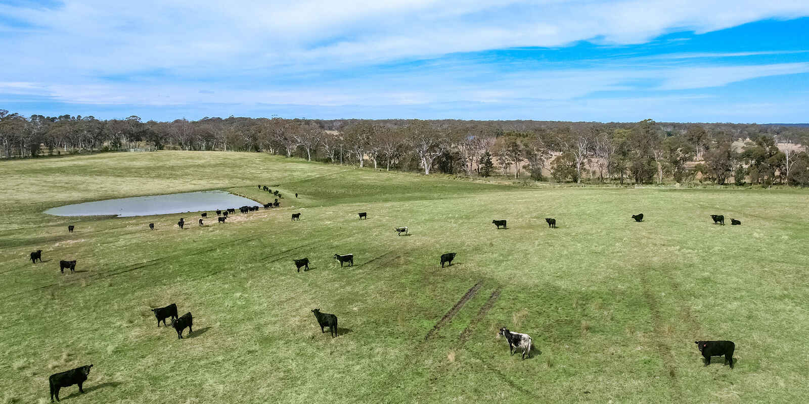 60 Wanganderry Road High Range 60 Wanganderry Road High Range