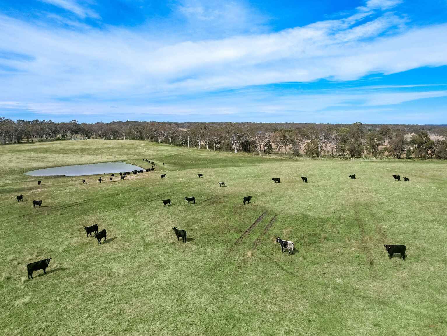 60 Wanganderry Road High Range