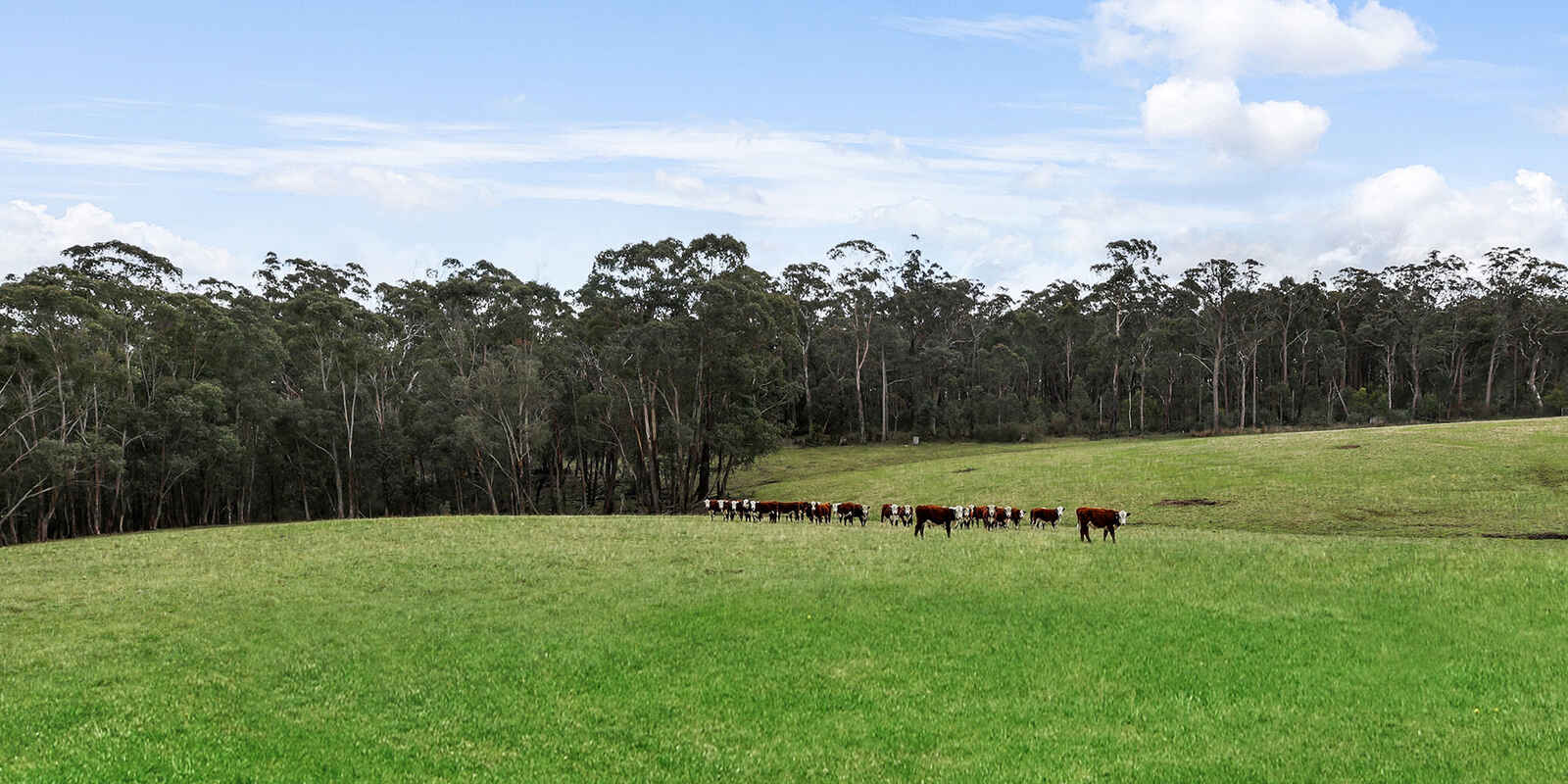 60 Wanganderry Road High Range 60 Wanganderry Road High Range