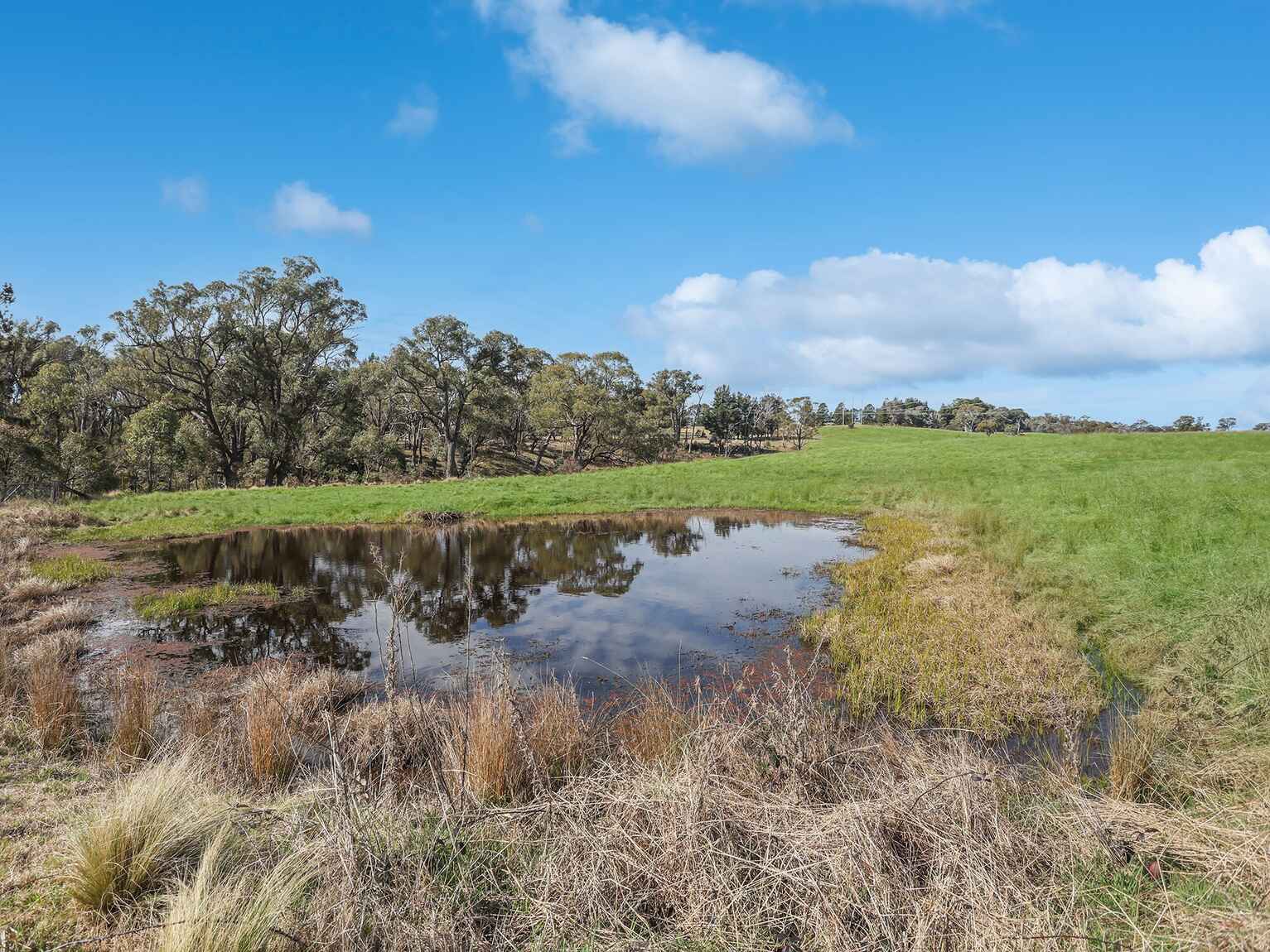 551 Inverary Road Paddys River