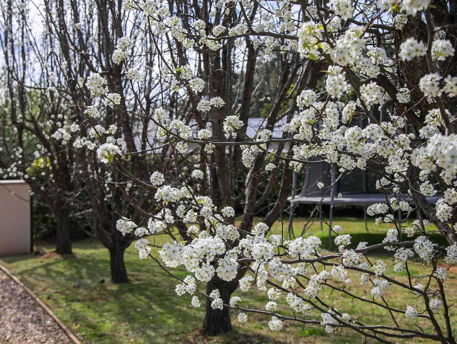 14 Greasons Road Bundanoon 14 Greasons Road Bundanoon