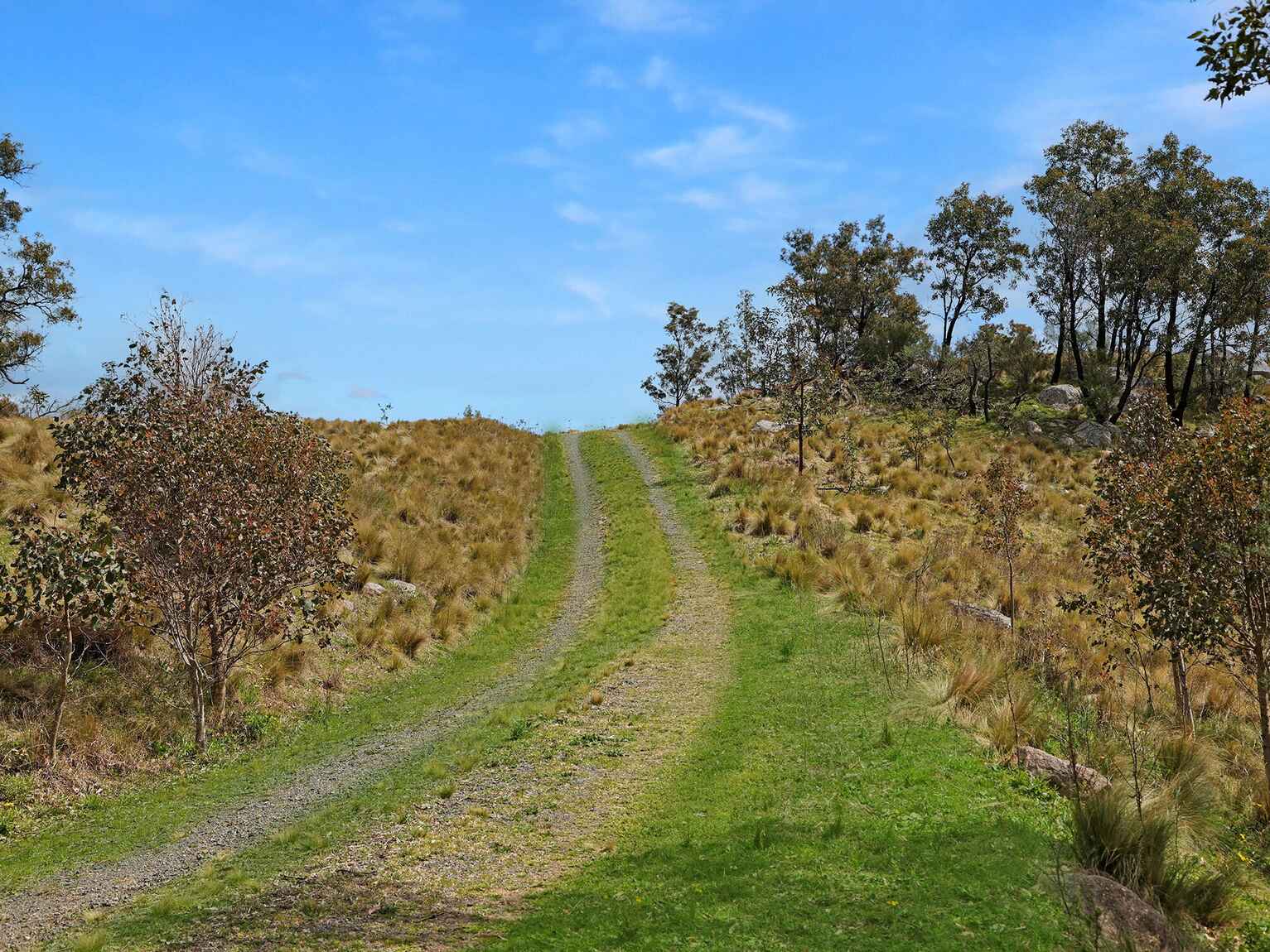 116 Pheasant Gully Road Bullio