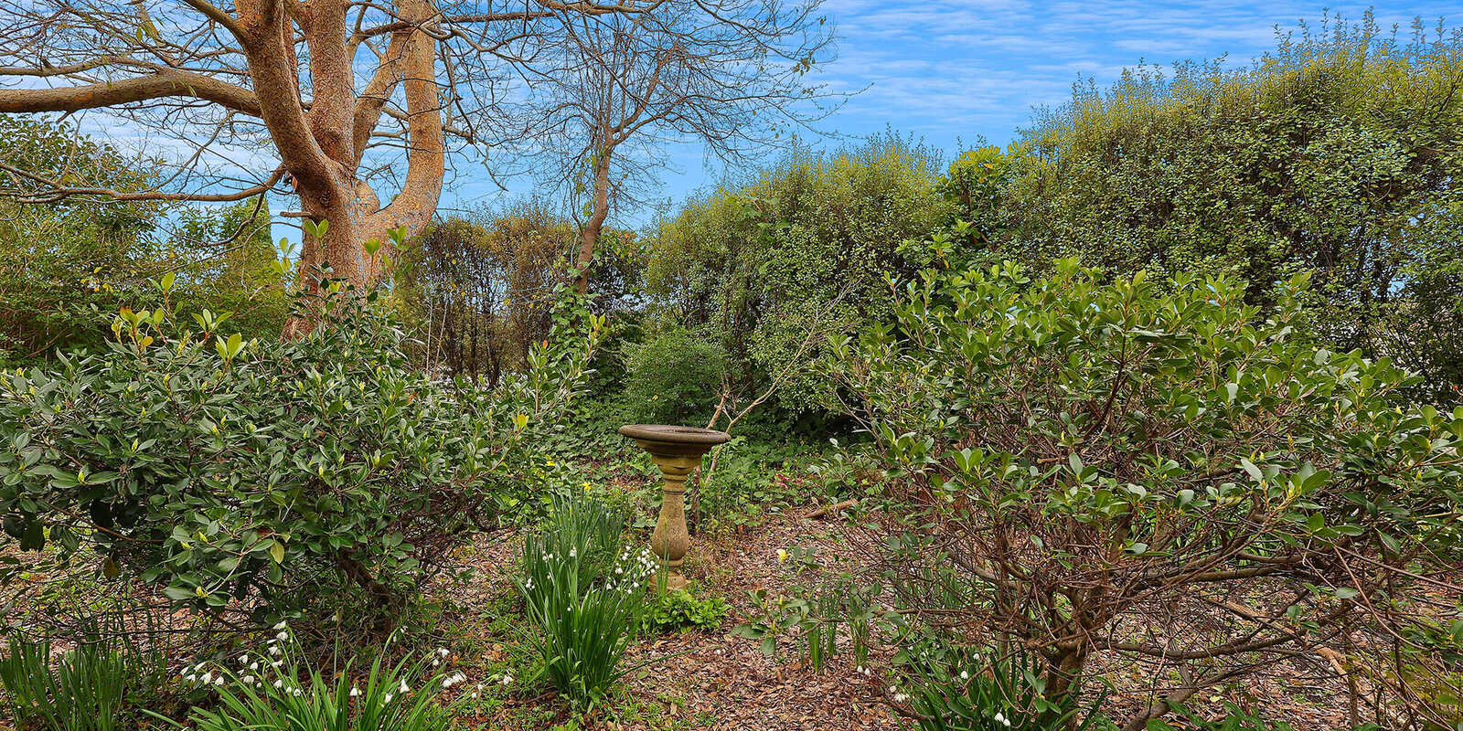 17 Valetta Street Moss Vale