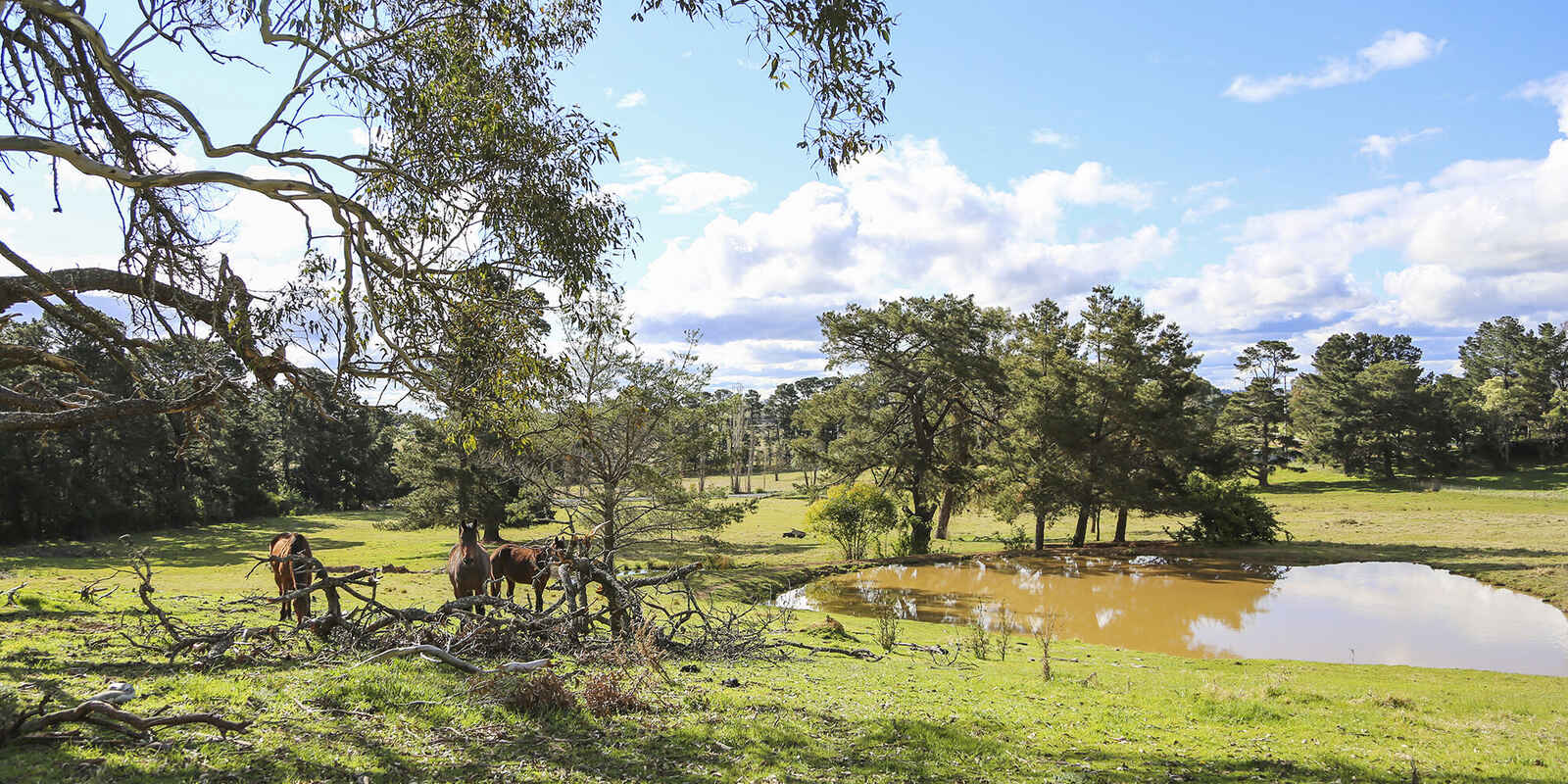 7031 Illawarra Highway Moss Vale