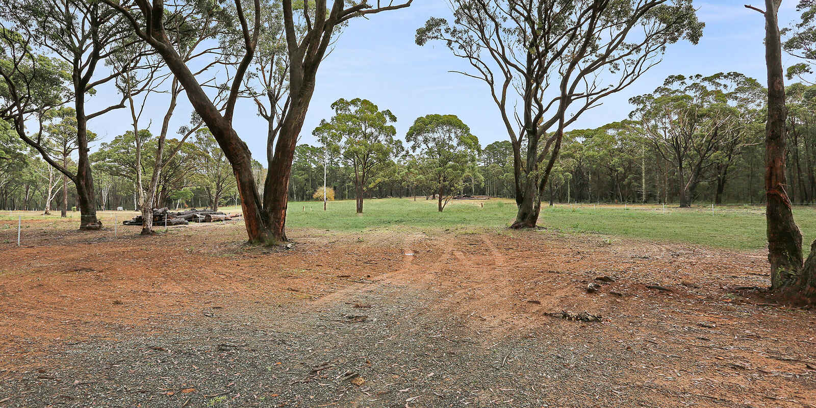  Wildwood/Nandi/Wattlebird Wingello