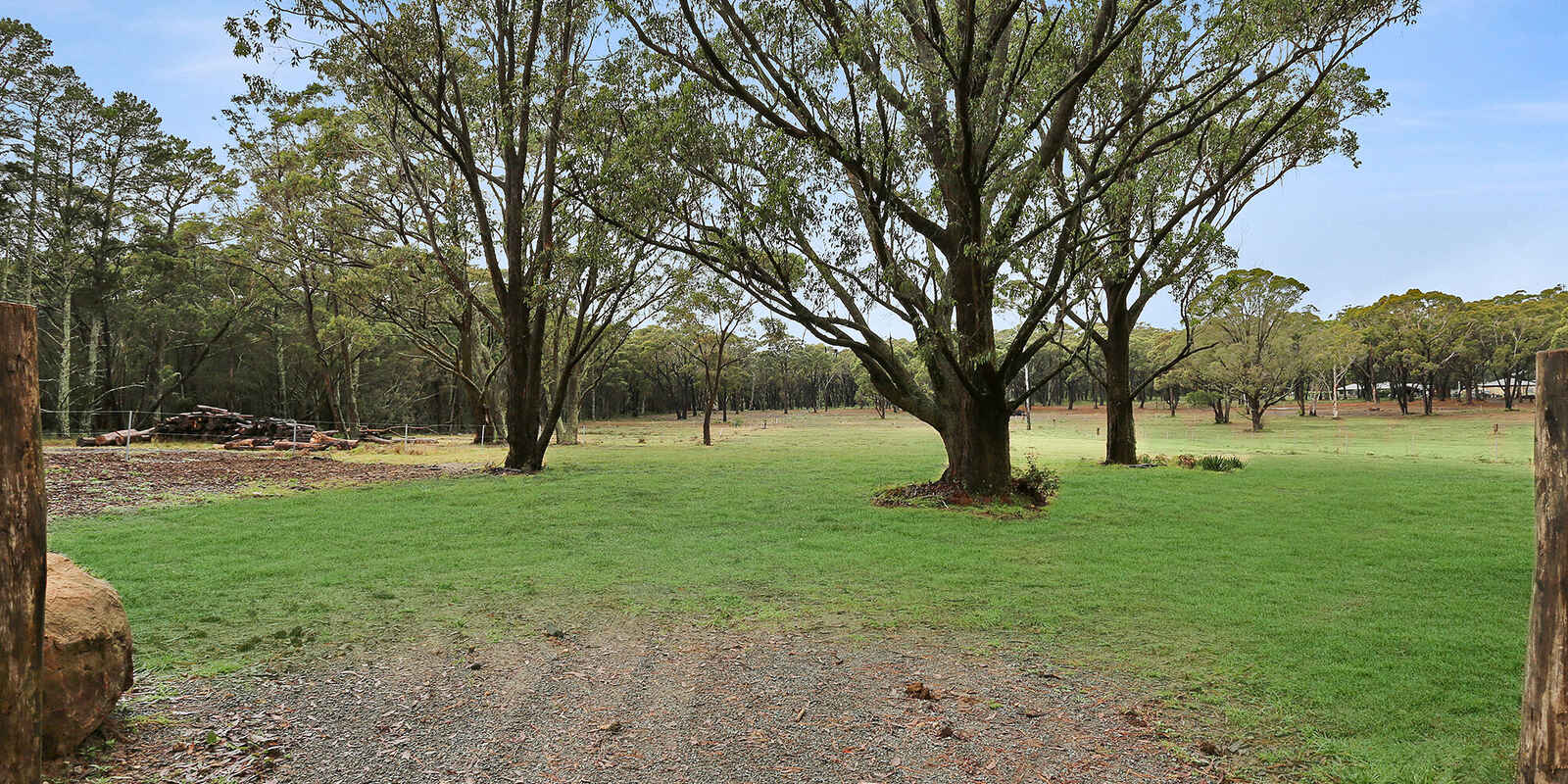  Wildwood/Nandi/Wattlebird Wingello