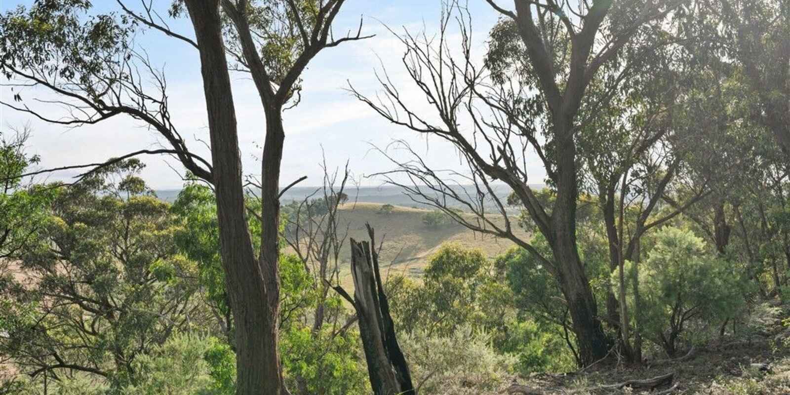 501 Tugalong Road Canyonleigh