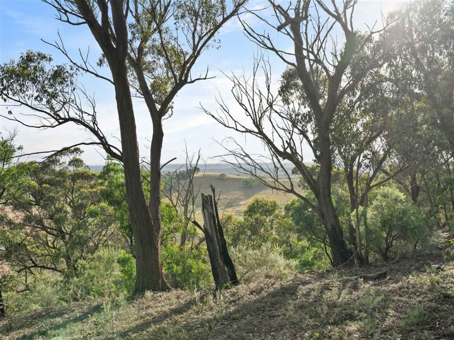 501 Tugalong Road Canyonleigh