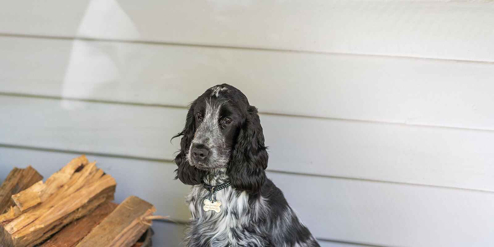 33 William Street Bundanoon