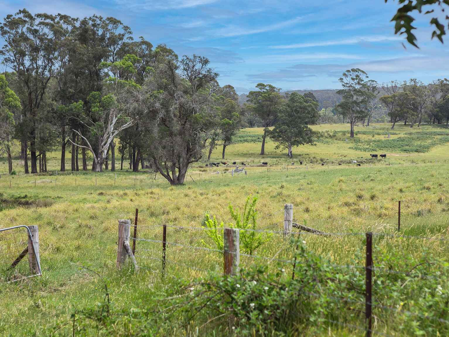 746 Sheepwash Road Avoca 746 Sheepwash Road Avoca