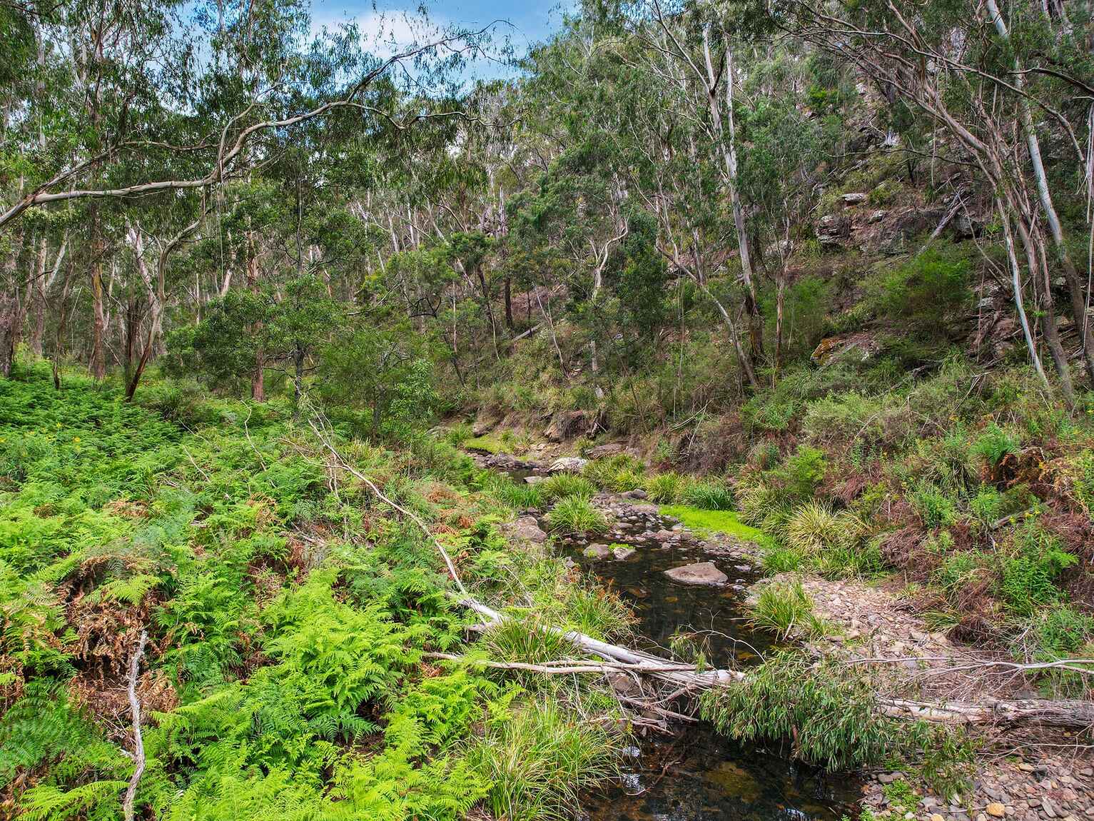 49 Binghams Lane Tallong