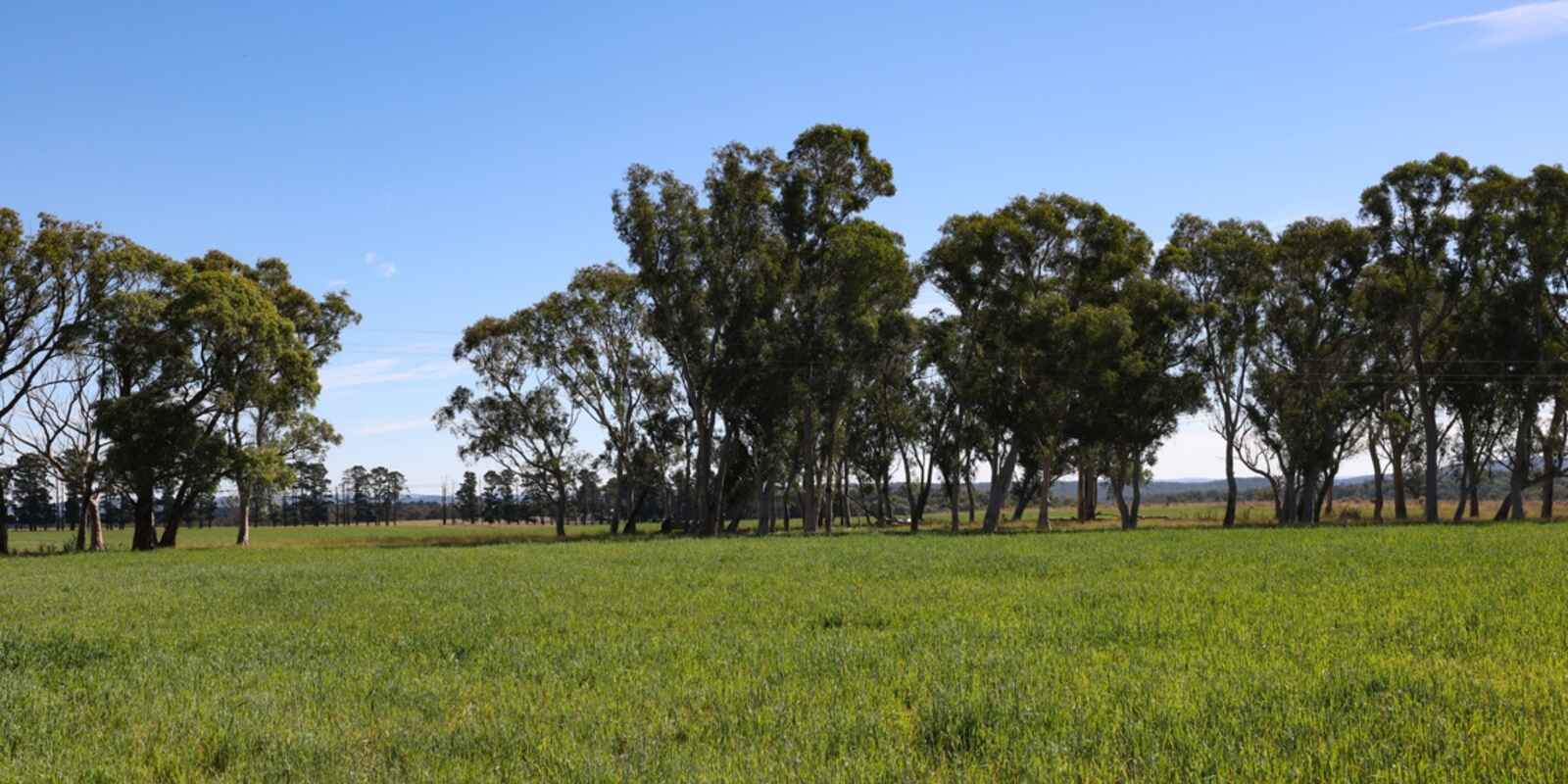 710 Inverary Road Paddys River 710 Inverary Road Paddys River