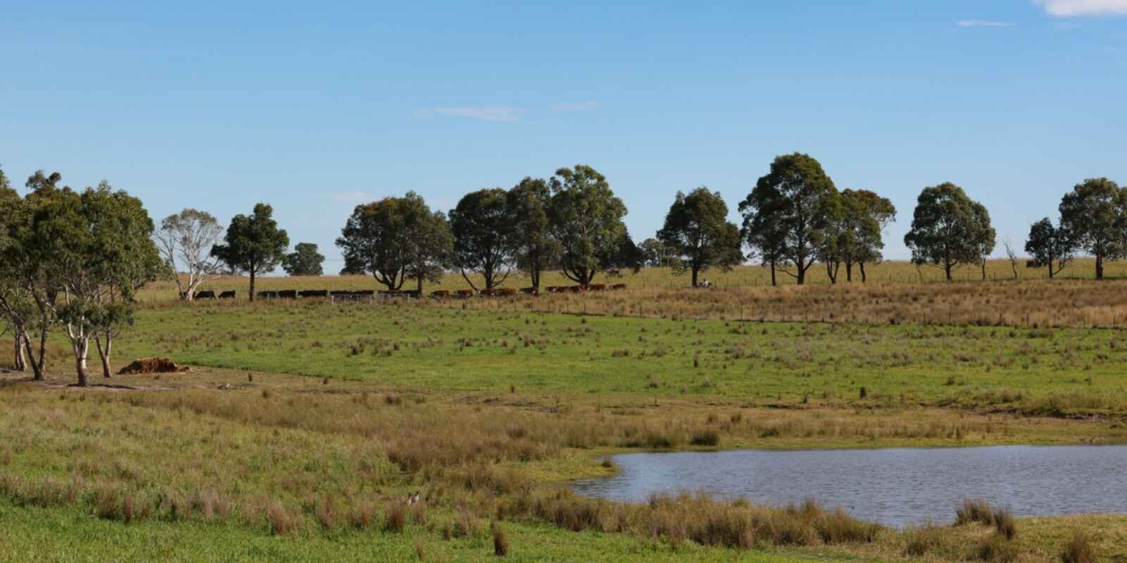 710 Inverary Road Paddys River 710 Inverary Road Paddys River