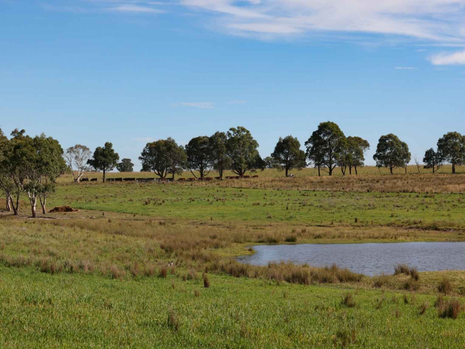 710 Inverary Road Paddys River 710 Inverary Road Paddys River