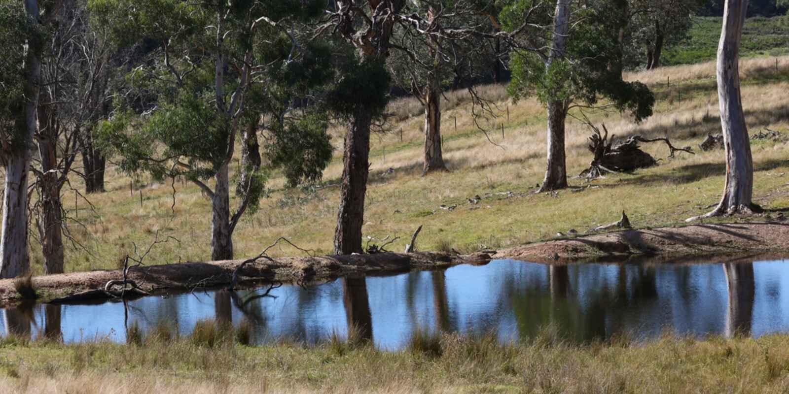 710 Inverary Road Paddys River 710 Inverary Road Paddys River