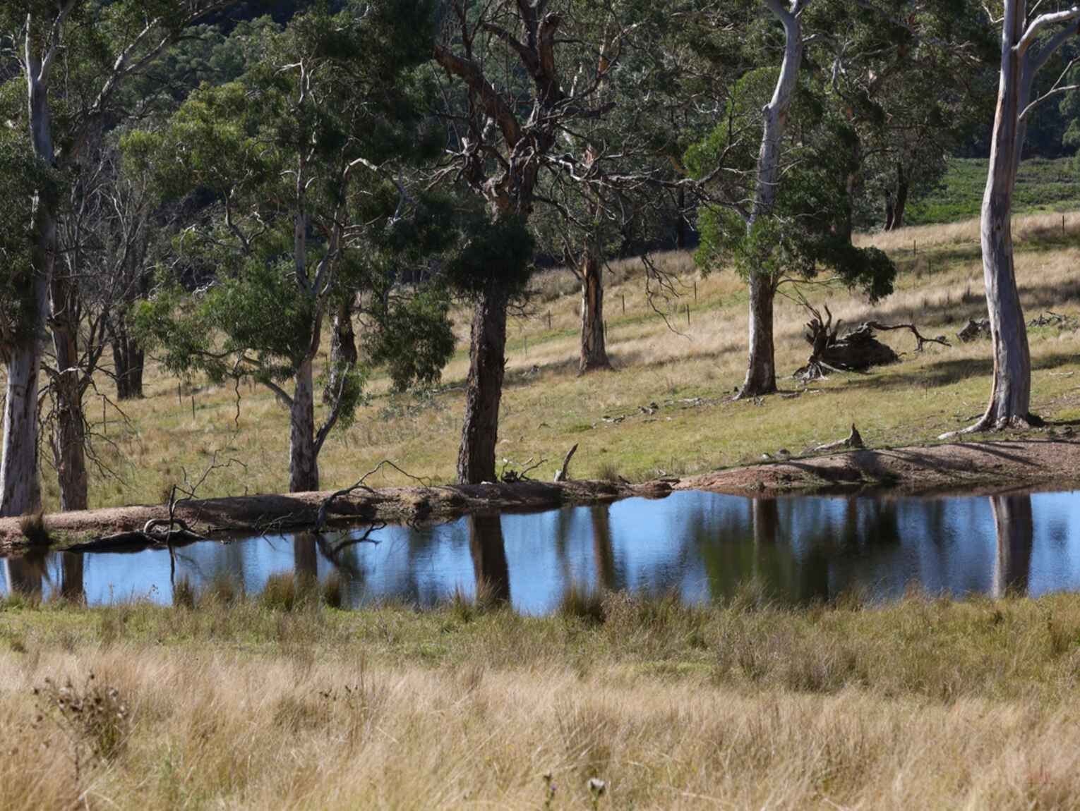 710 Inverary Road Paddys River 710 Inverary Road Paddys River