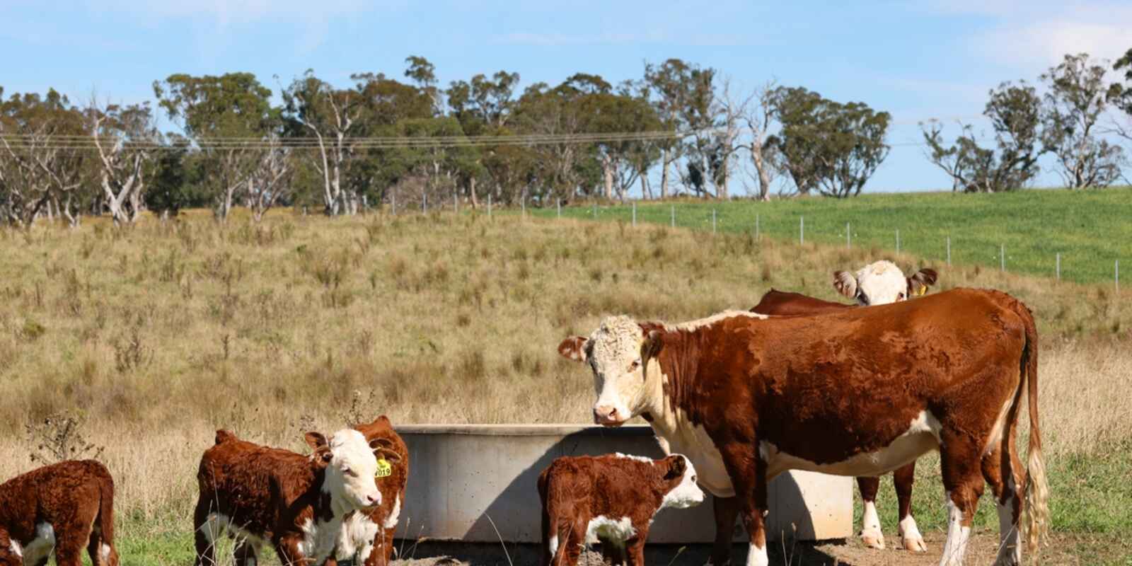 710 Inverary Road Paddys River 710 Inverary Road Paddys River