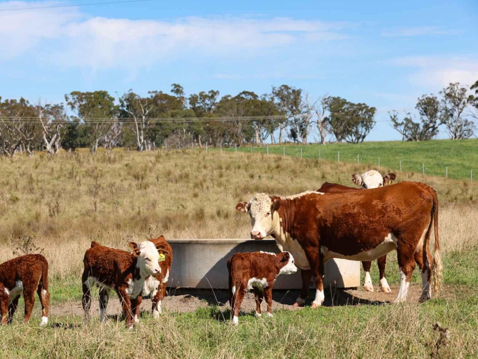 710 Inverary Road Paddys River 710 Inverary Road Paddys River