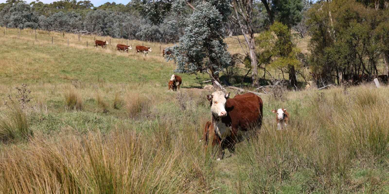 710 Inverary Road Paddys River 710 Inverary Road Paddys River