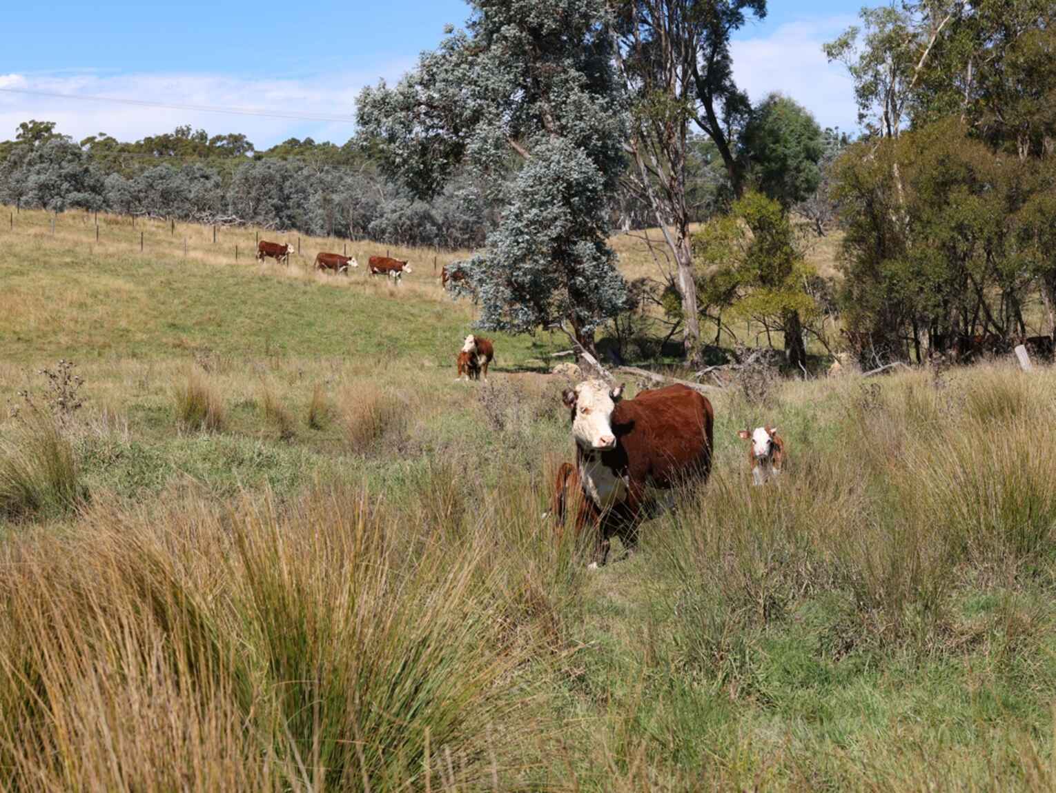 710 Inverary Road Paddys River 710 Inverary Road Paddys River