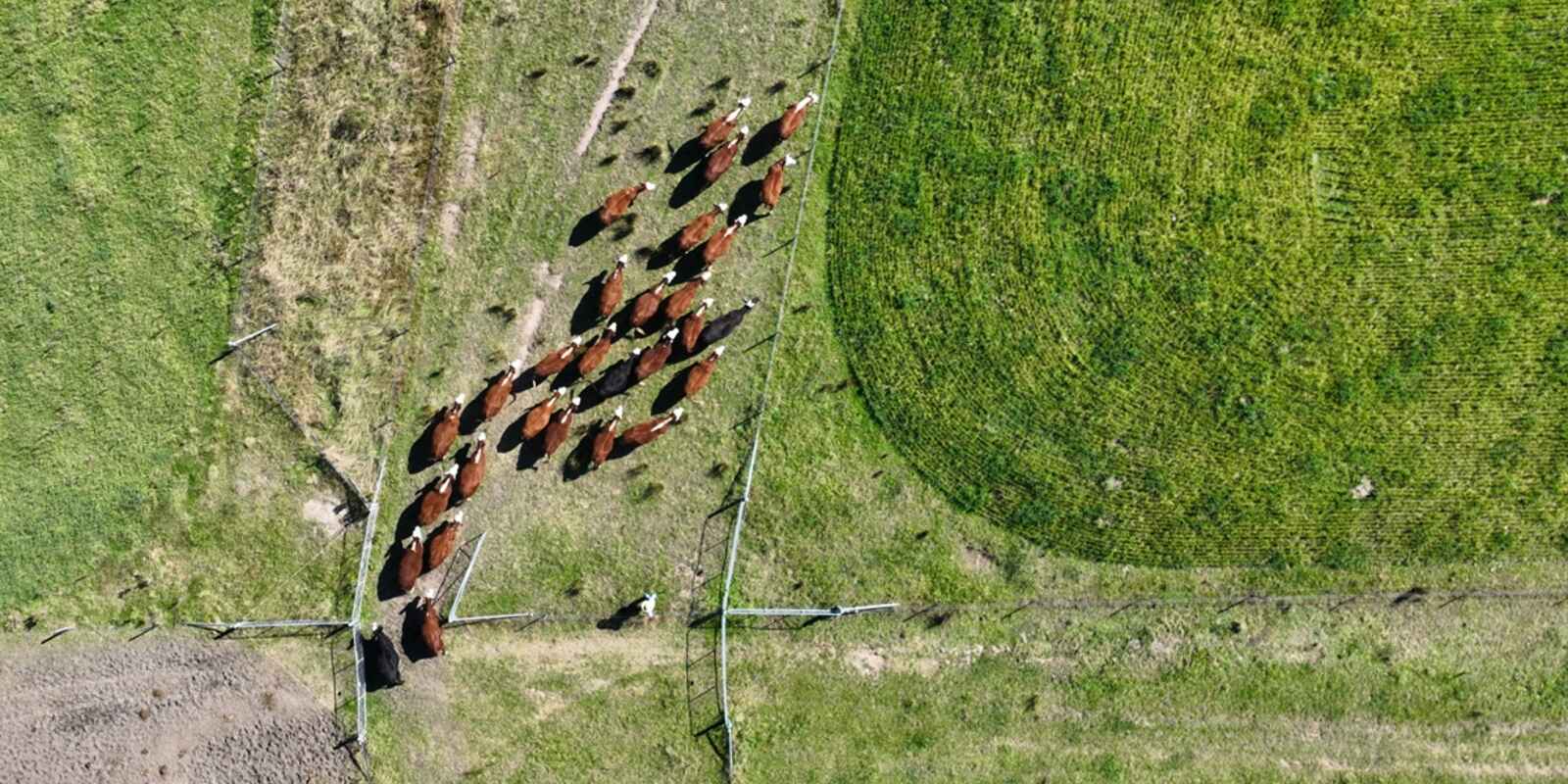 710 Inverary Road Paddys River 710 Inverary Road Paddys River