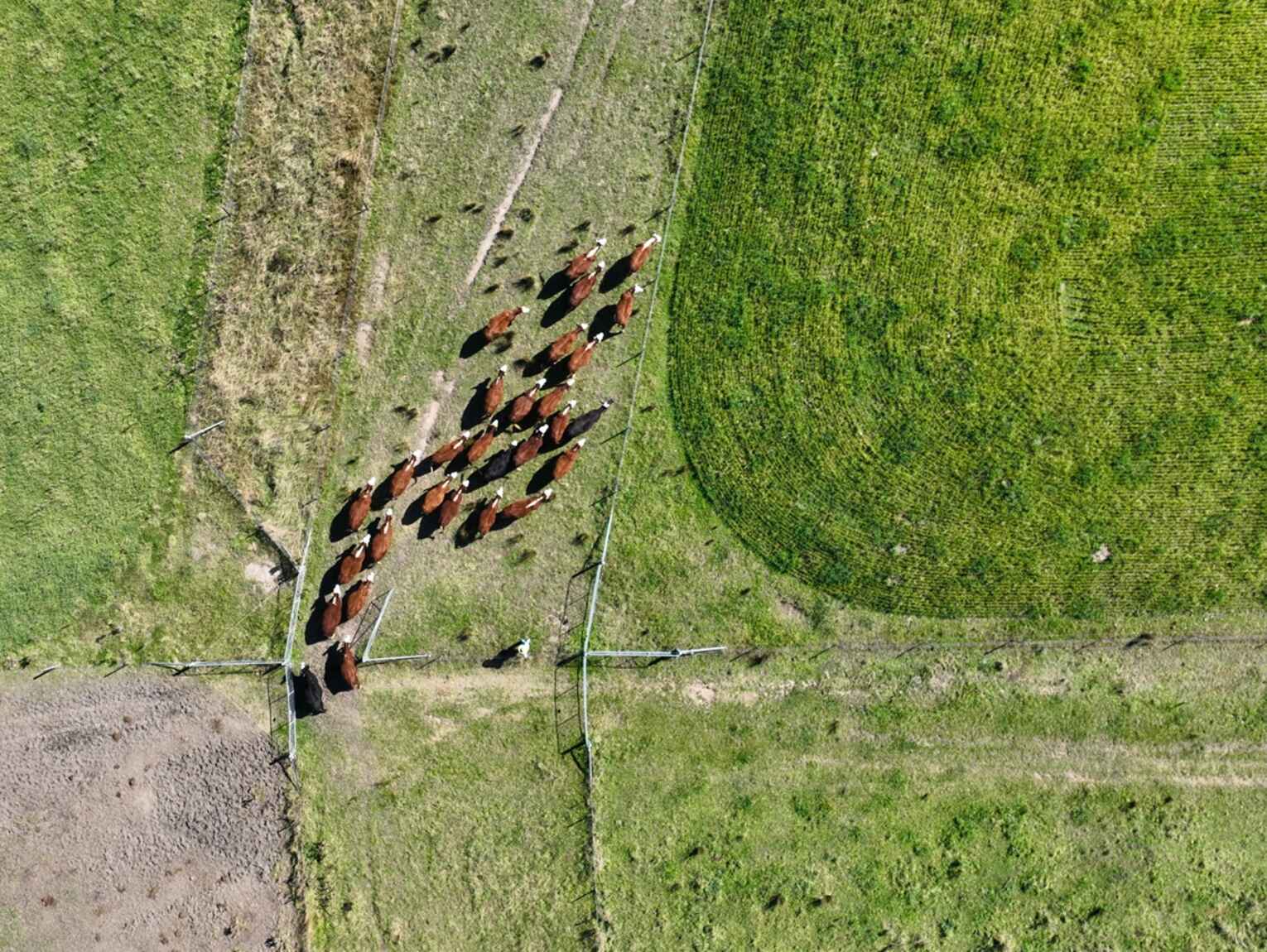 710 Inverary Road Paddys River 710 Inverary Road Paddys River