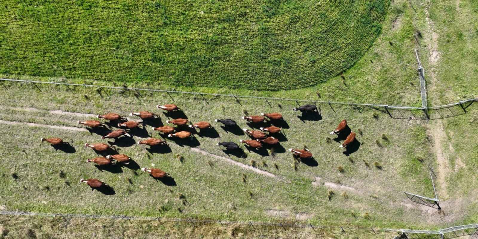 710 Inverary Road Paddys River 710 Inverary Road Paddys River