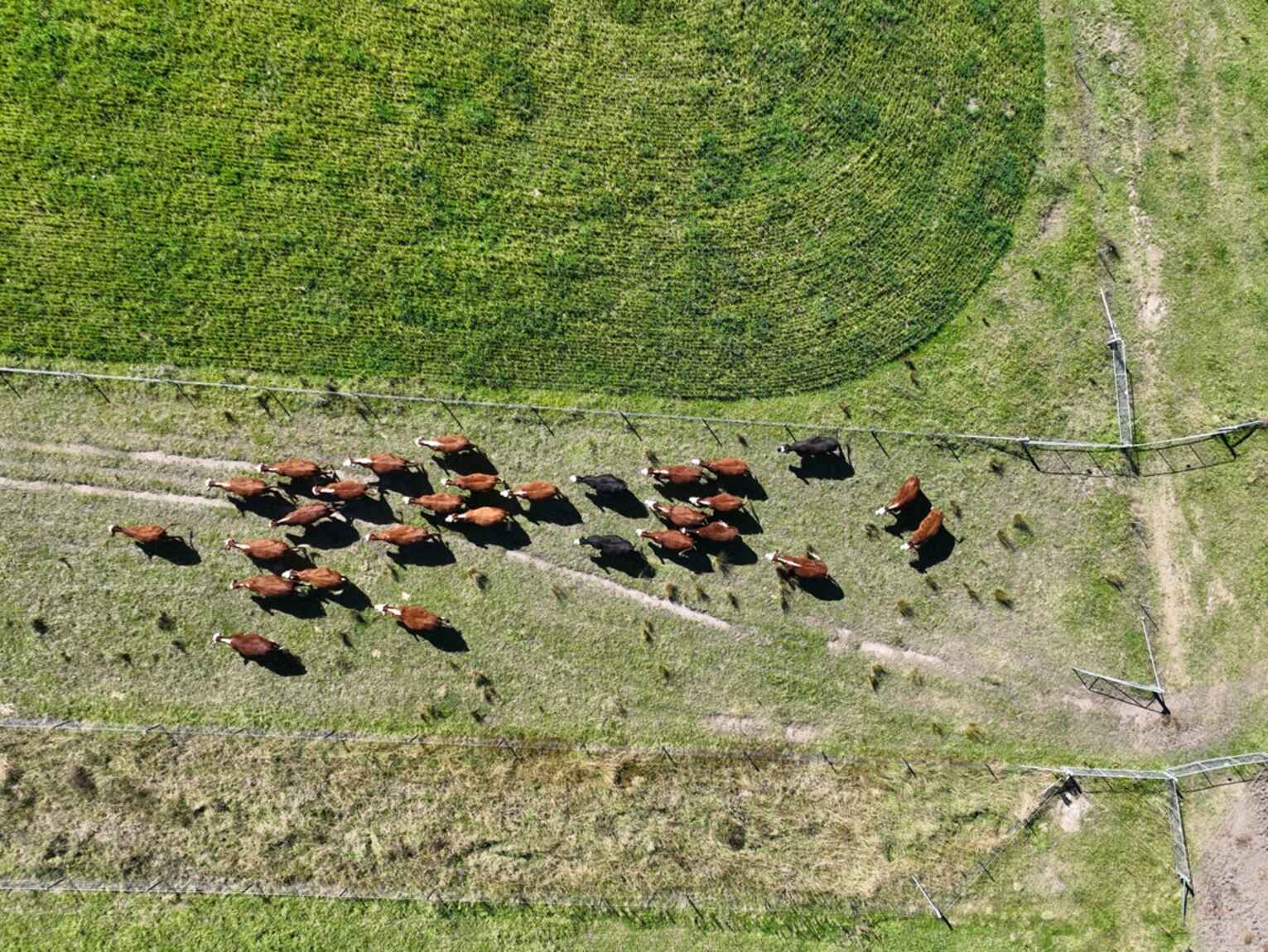 710 Inverary Road Paddys River 710 Inverary Road Paddys River