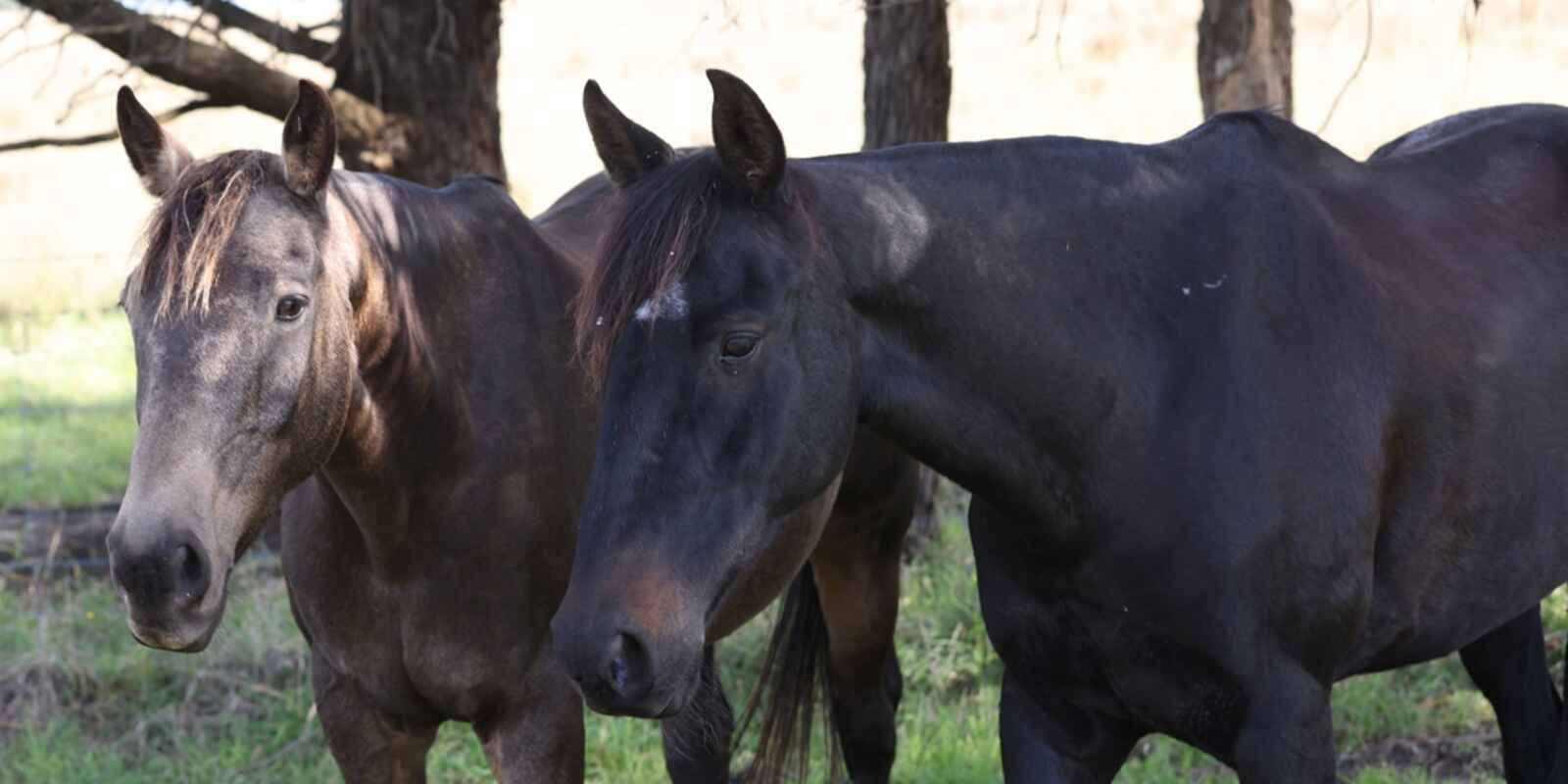 710 Inverary Road Paddys River 710 Inverary Road Paddys River