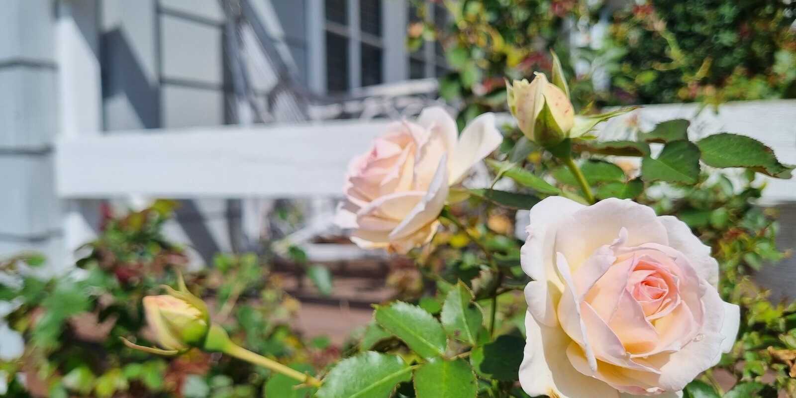 19 Hill Street Bundanoon