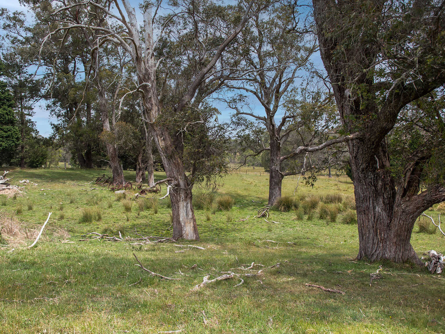 746 Sheepwash Road Avoca 746 Sheepwash Road Avoca