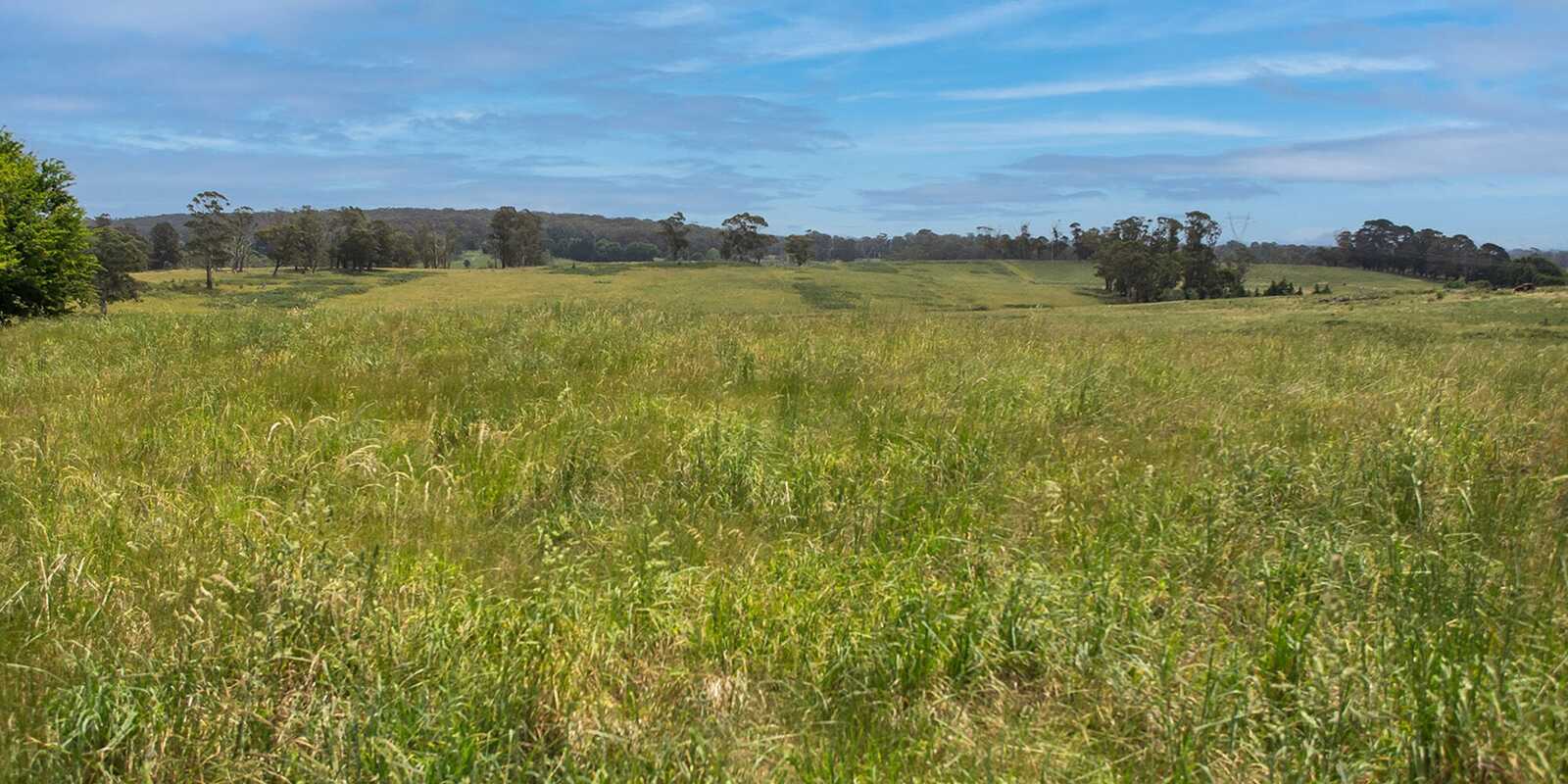 746 Sheepwash Road Avoca 746 Sheepwash Road Avoca