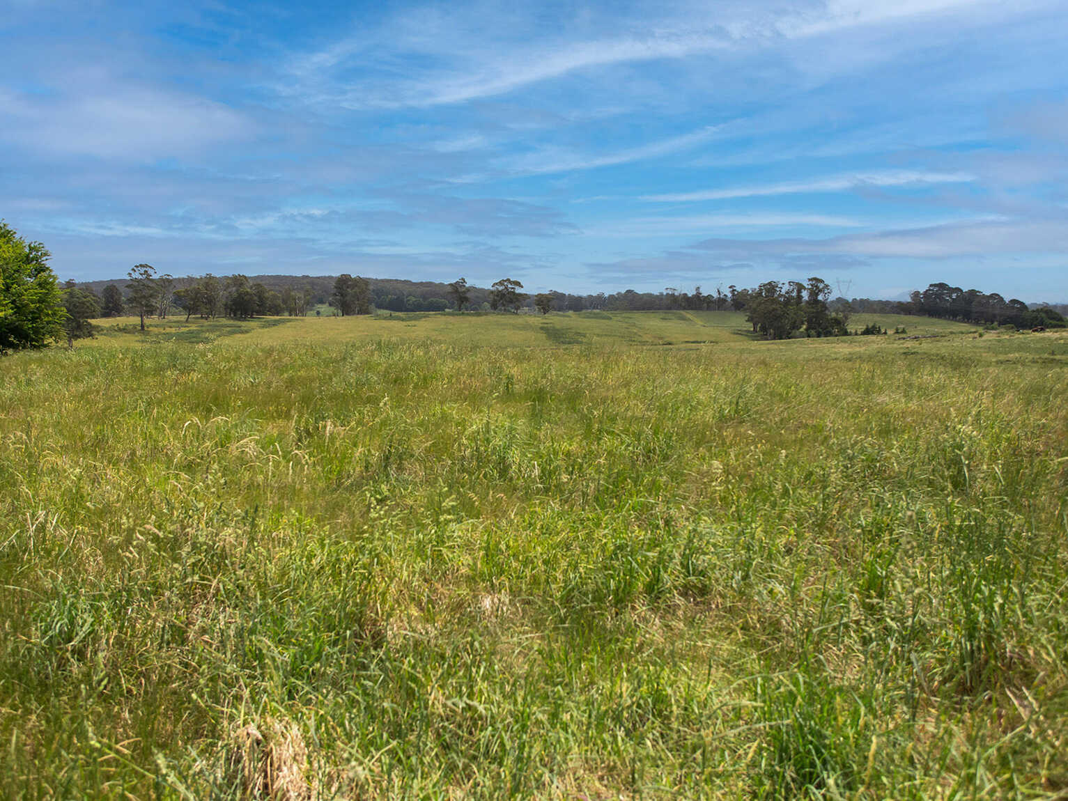 746 Sheepwash Road Avoca 746 Sheepwash Road Avoca