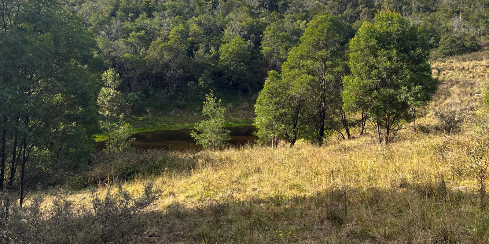 200 Pulpit Rock Road Bullio