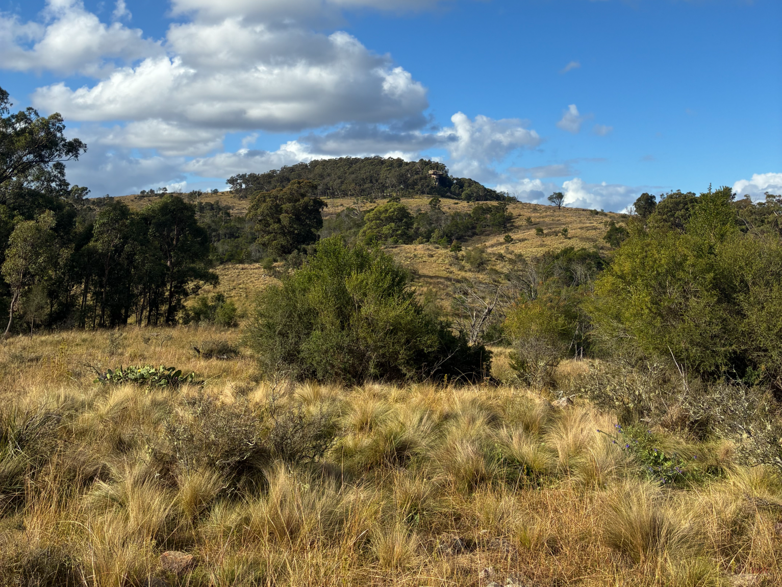 200 Pulpit Rock Road Bullio