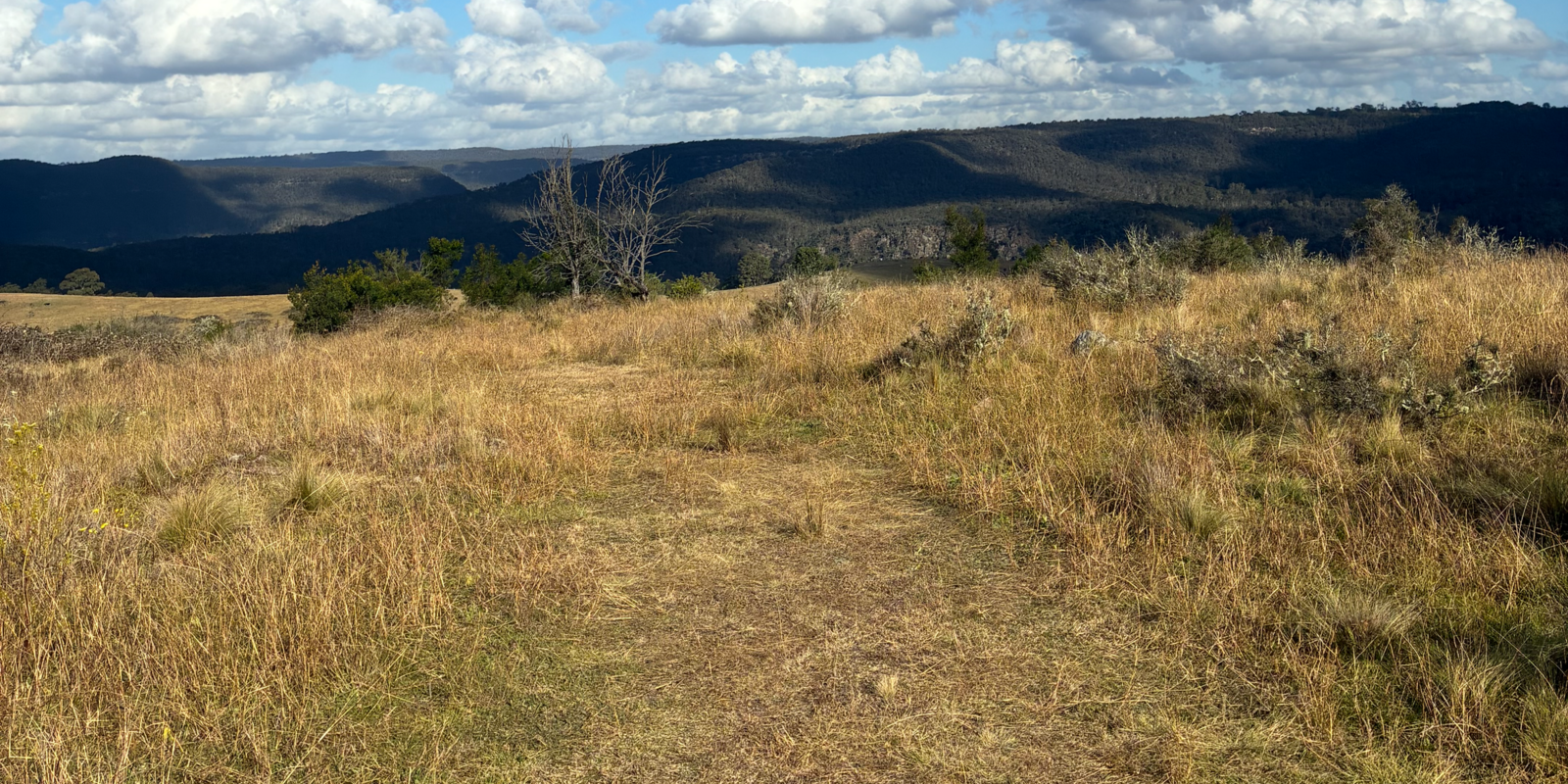 200 Pulpit Rock Road Bullio