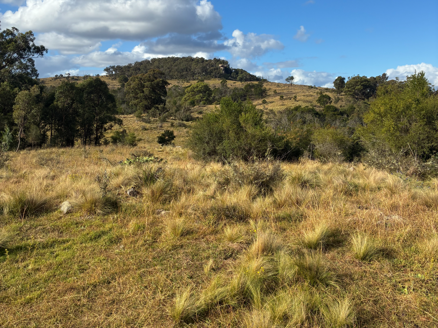200 Pulpit Rock Road Bullio