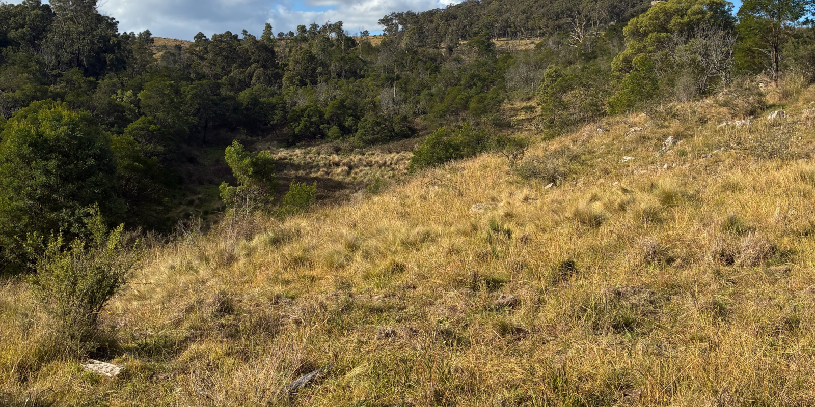 200 Pulpit Rock Road Bullio