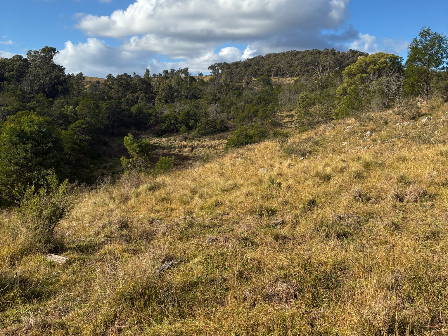 200 Pulpit Rock Road Bullio